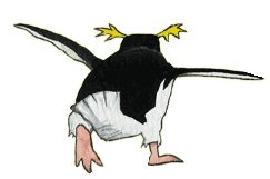 pinguin