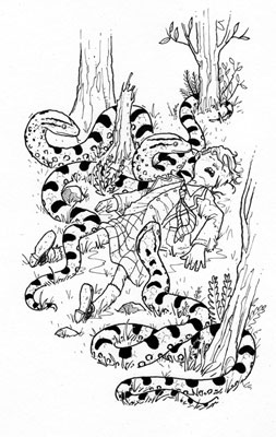 S.W.I.T.C.H 11: Anaconda Adventure S.W.I.T.C.H 11: Anaconda Adventure