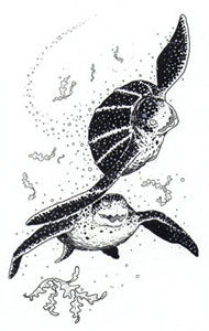 S.W.I.T.C.H 9: Turtle Terror S.W.I.T.C.H 9: Turtle Terror