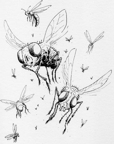 S.W.I.T.C.H 2: Fly Frenzy S.W.I.T.C.H 2: Fly Frenzy